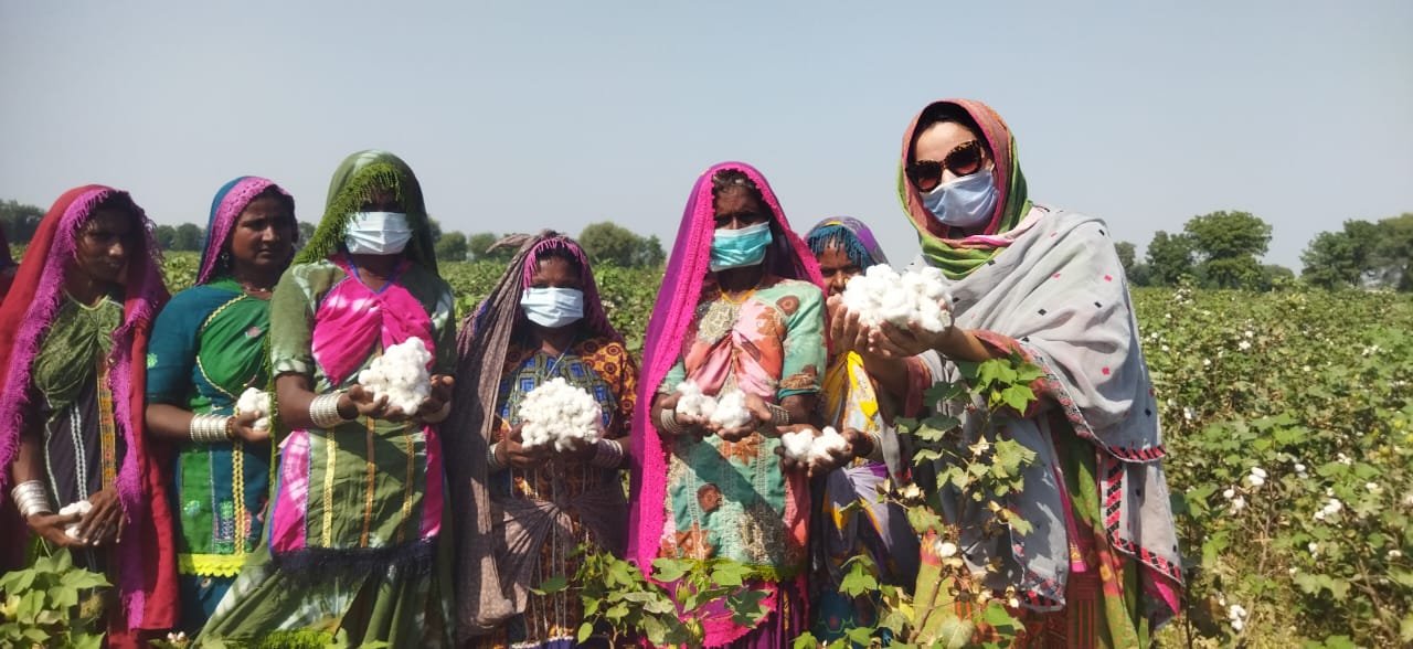 Climate and Livelihood Improvement Program